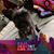 EmmaLee Heise's profile image