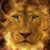 Sandi Covert's profile image