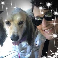 Trish Hodges's profile image