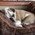 Jennifer Liebert's profile image