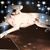 Melanie Fuqua's profile image