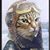 Kat Davis's profile image