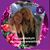 Cathy Hamilton's profile image