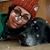 Iris M. Sanabria-Piety's profile image
