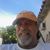 Nino Viscusi's profile image