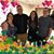 Lynne Volkmann's profile image