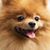 Barbara Whiterell's profile image