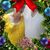 Phyllis Carpenter's profile image