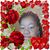 Roslyn Ollie's profile image