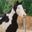 Dawn Strickland Williams's profile image