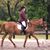 Paula Zimmerli-Angulot's profile image