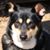 Michelle Cook's profile image