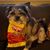 Iris T. Montalvo's profile image