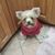 Karla Lockwood Bechner's profile image