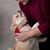 Dottie Rathjen's profile image