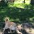 Roxy Denise Stienblock's profile image