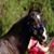 Lori Benner's profile image
