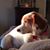 Dave Keister's profile image