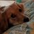 Kim Tate Reason's profile image