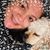 Colleen Dunn's profile image