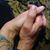 Rosanna Heaslett's profile image