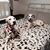 Donna Tarman's profile image