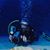 Bob Lippold's profile image