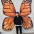 Karen Clinesmith-Walsh's profile image