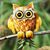 Jim Viewig's profile image