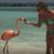 Dorsey DeMaster's profile image