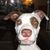 Dave Wingenbach's profile image