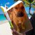 Jen Littsey's profile image