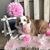 Juanita Carlton Evans's profile image