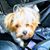 Stephany Hurkos's profile image