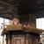 Christine Potter's profile image