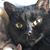 Brenda Louise Exparza's profile image