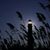 Tammy Ahrens's profile image