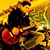 Jeff Diaz Estrella's profile image