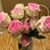 Donna Thomas Woodall LeBrun's profile image