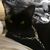 Marcia Wisehoon's profile image