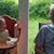 Leo Dunn's profile image