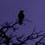 Christi Hardee's profile image
