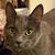 Claire Ulanoff's profile image