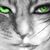 Victoria Ronish's profile image