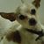 Kelli McMillan's profile image
