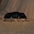 Janet Johnson Evers's profile image