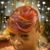Susanna Robinson's profile image