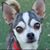 Peggy Sweeney's profile image