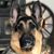 Marty Kaplan's profile image