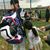 Terri L Smith- Velazquez's profile image